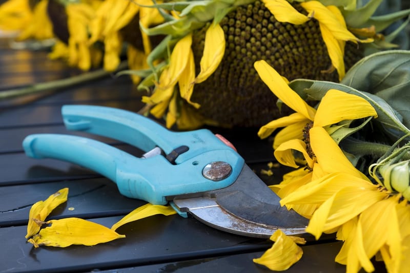 Professional Grade Pruning Shears category header image