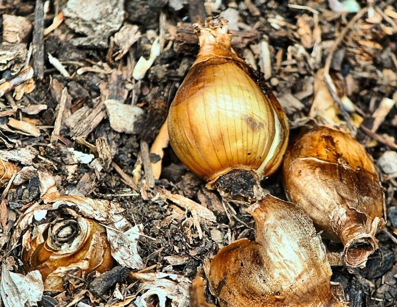 Liquid Rooting Hormone category header image