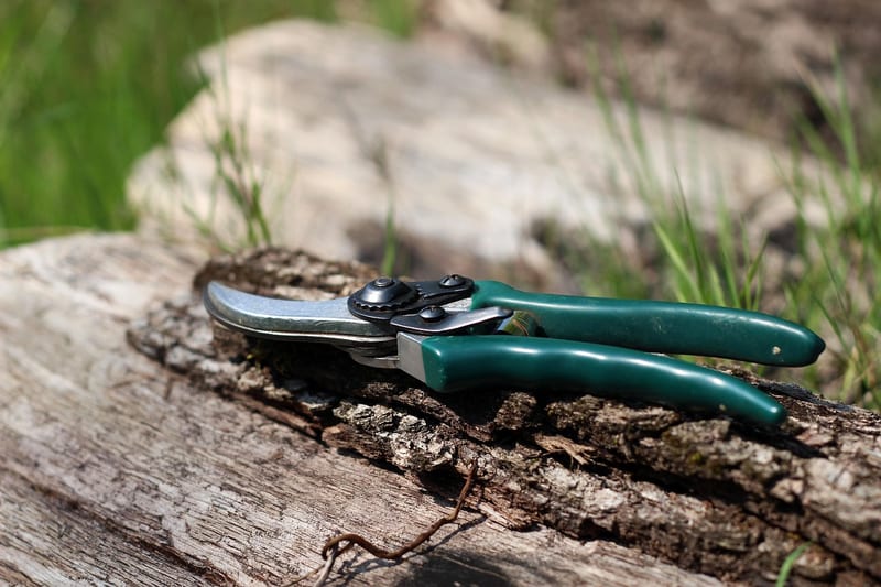 Precision Pruning Shears category header image